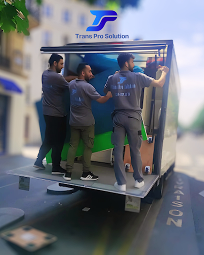 Trans Pro Solution Déménageur à Rosny-sous-Bois